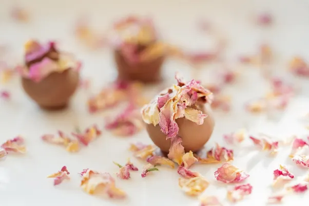 Kasino Rocket Slots Apl Android/iOS